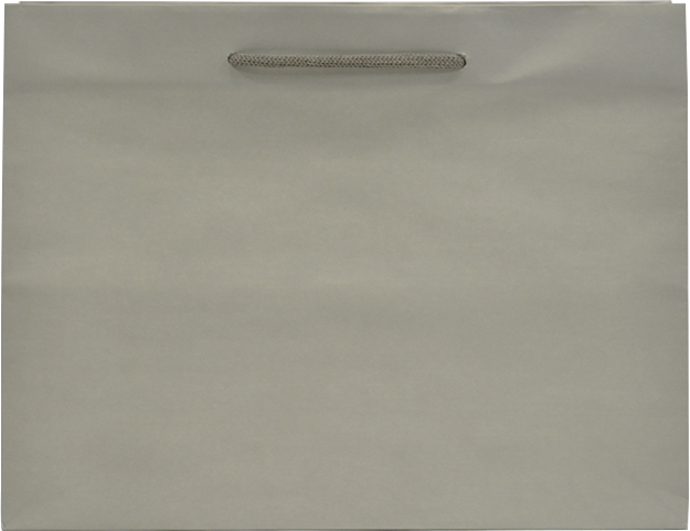 Non-Laminated Misty Grey Euro Tote