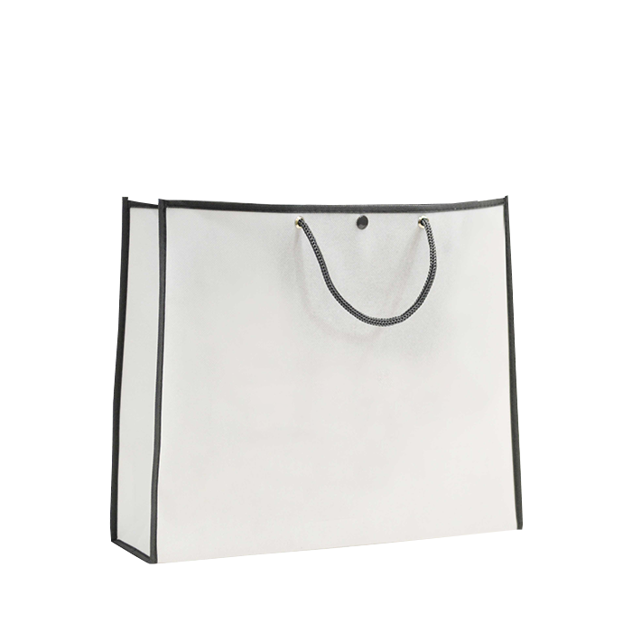 Non-Woven PP Euro Style Bags