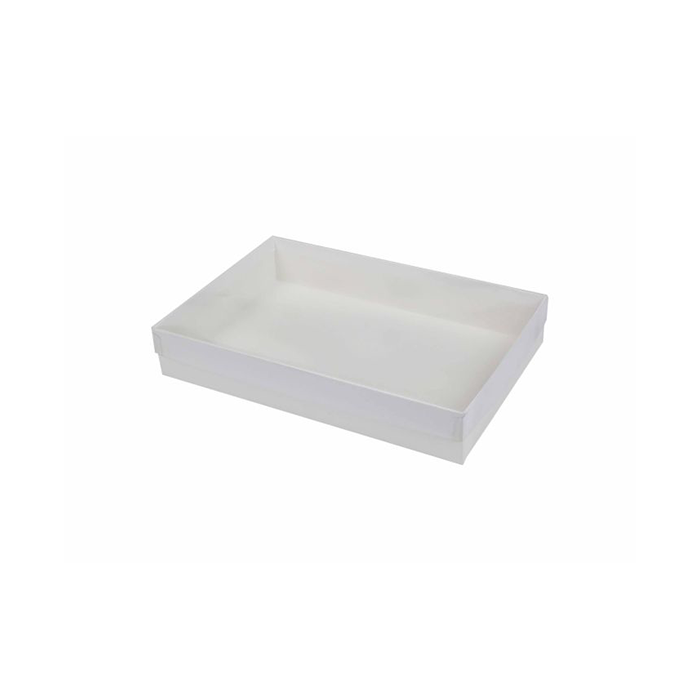 White Clear Top Stationary Box